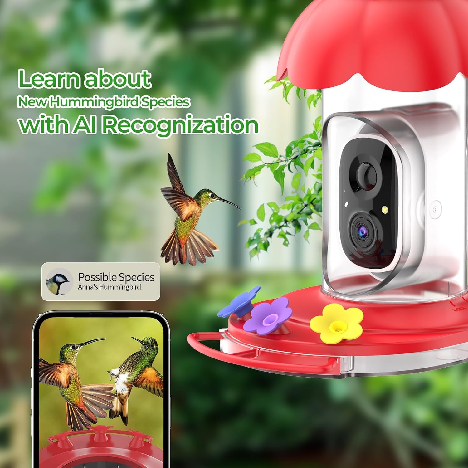 CaresBird