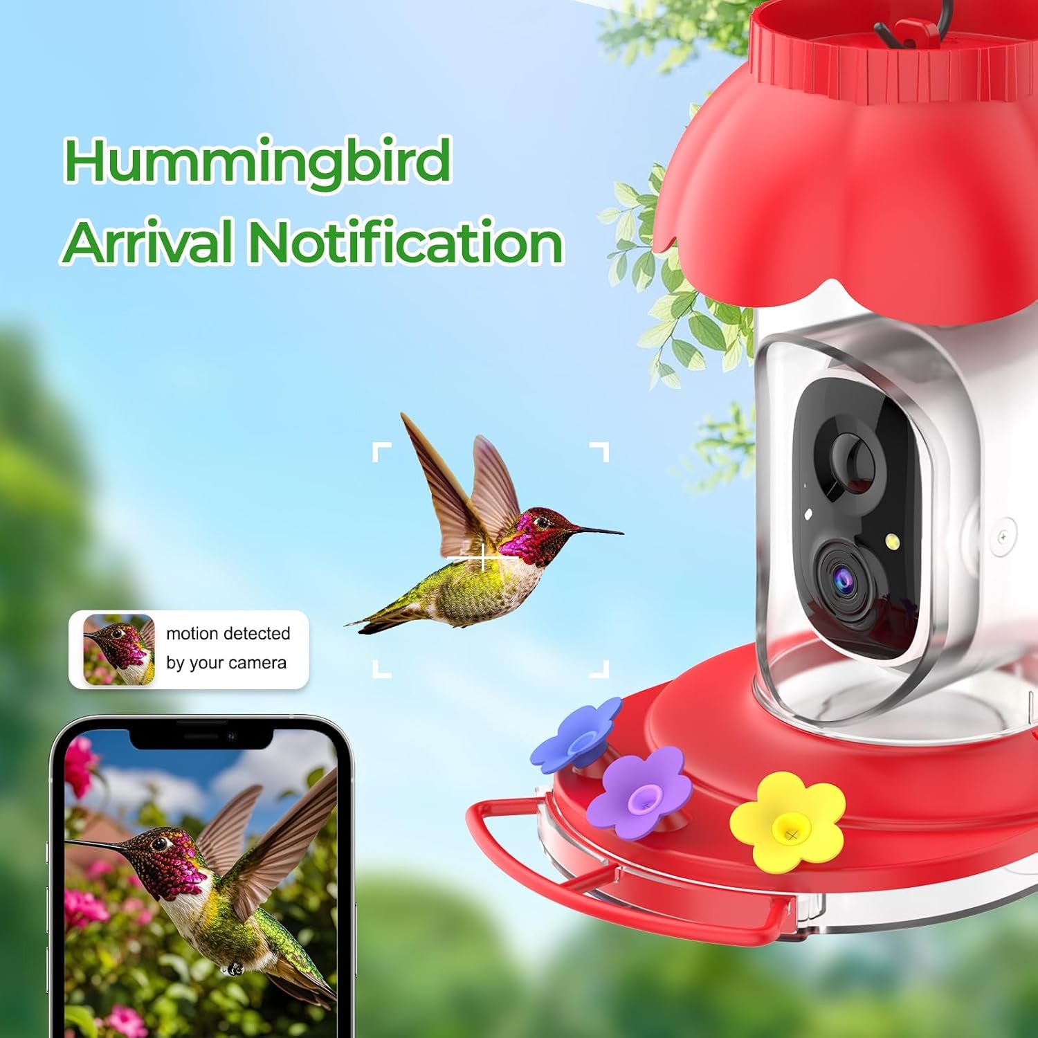 CaresBird
