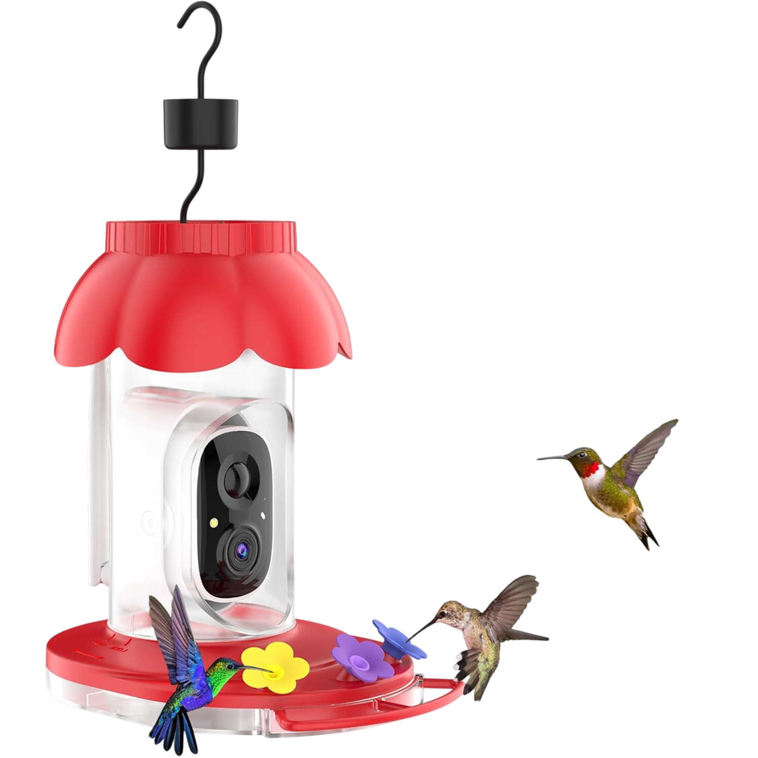 CaresBird