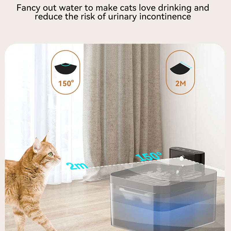 FotivCat