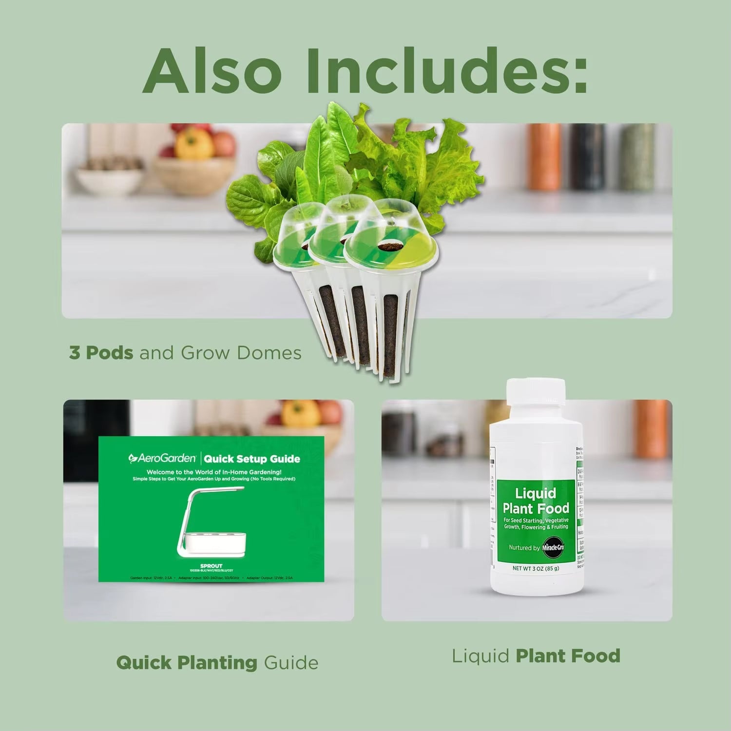 GreenKixa