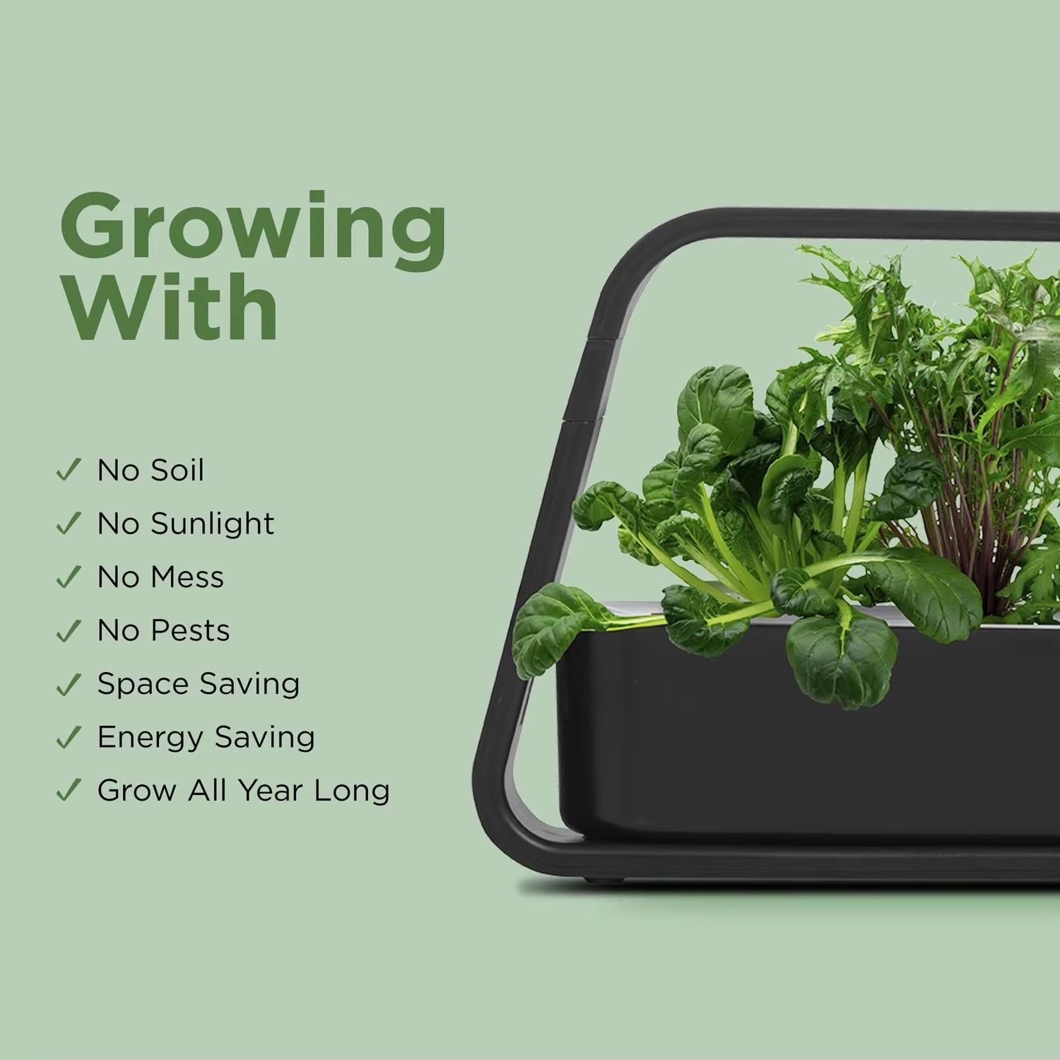 GreenKixa