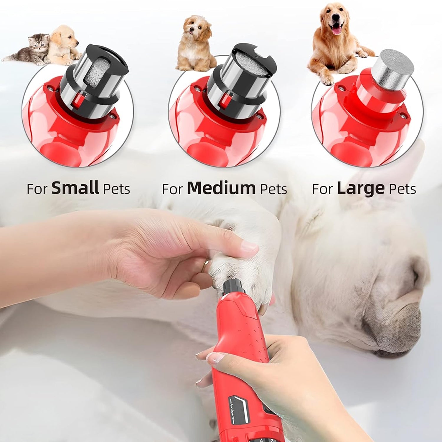 GrindyPex Dog Nail Grinder with Dual LED Lights - 6-Speed Powerful Motor Quiet Rechargeable