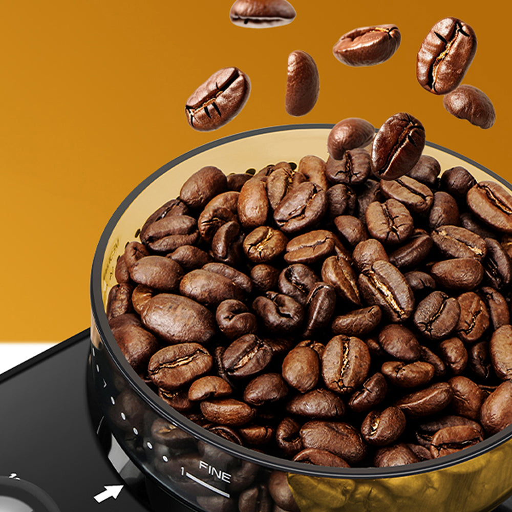 GrixFeni Precision Burr Coffee Grinder with 28 Grind Settings, Anti-Static Technology and 2–12 Cup Adjustable Capacity