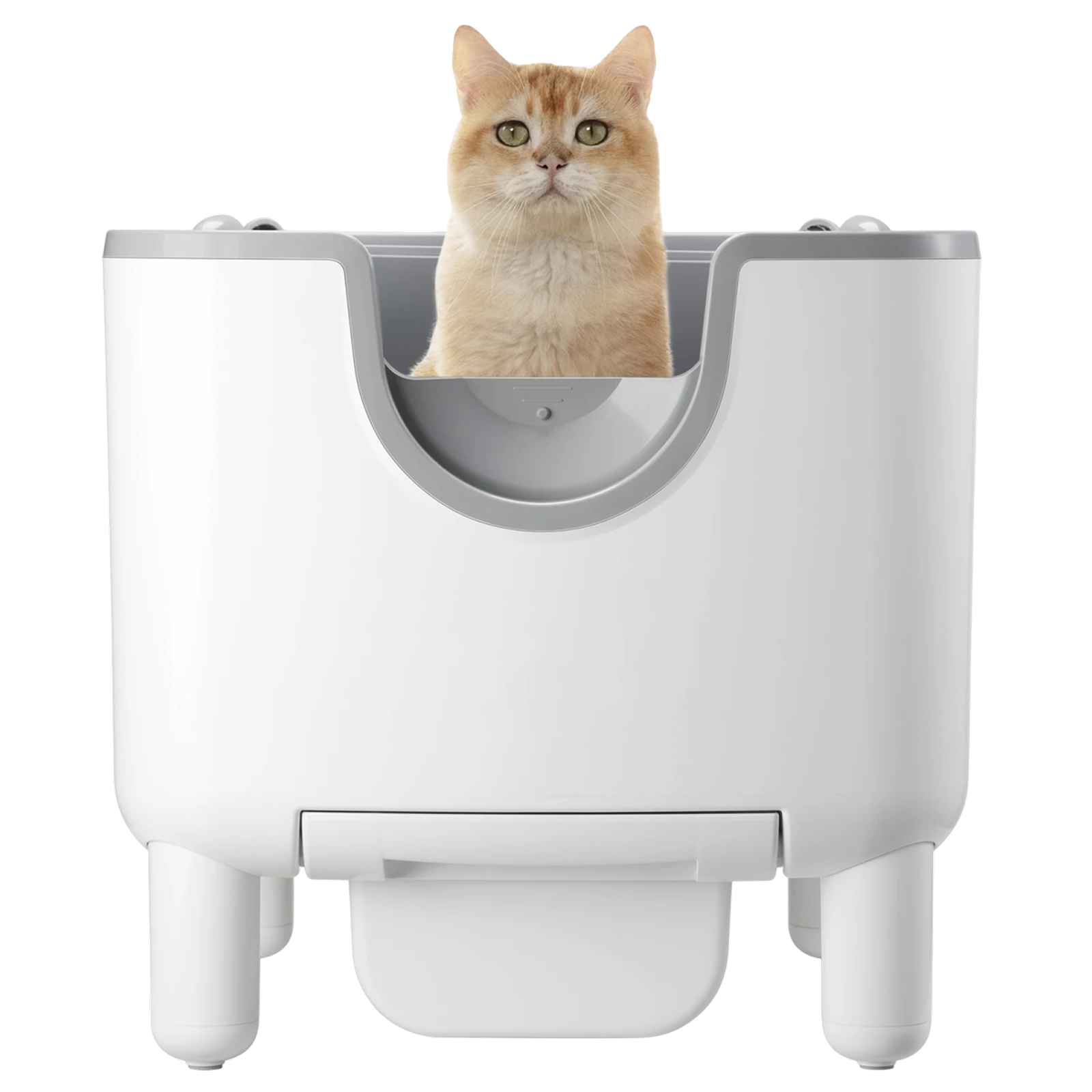 LitixCami Automatic Cat Litter Box Self-Cleaning Open-Top Design with 7-Day Storage