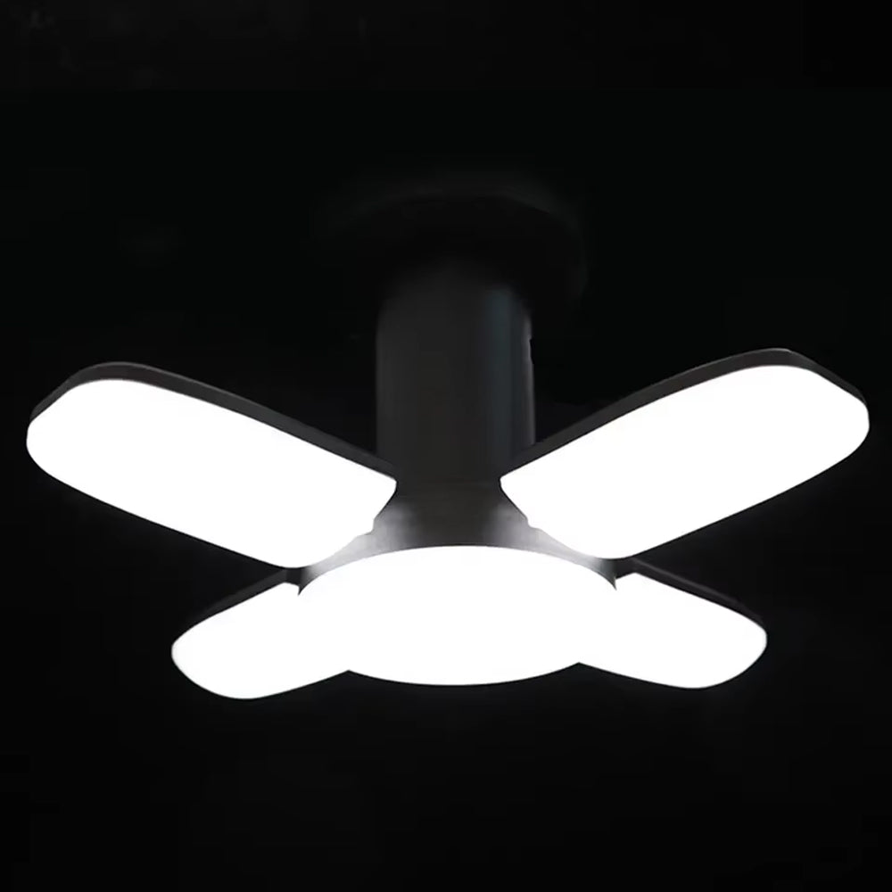 LumiPeco