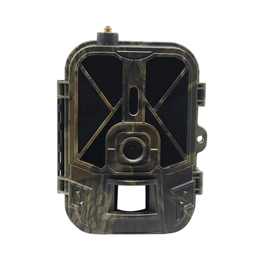 NestCloz