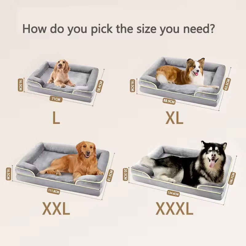 PawComfi