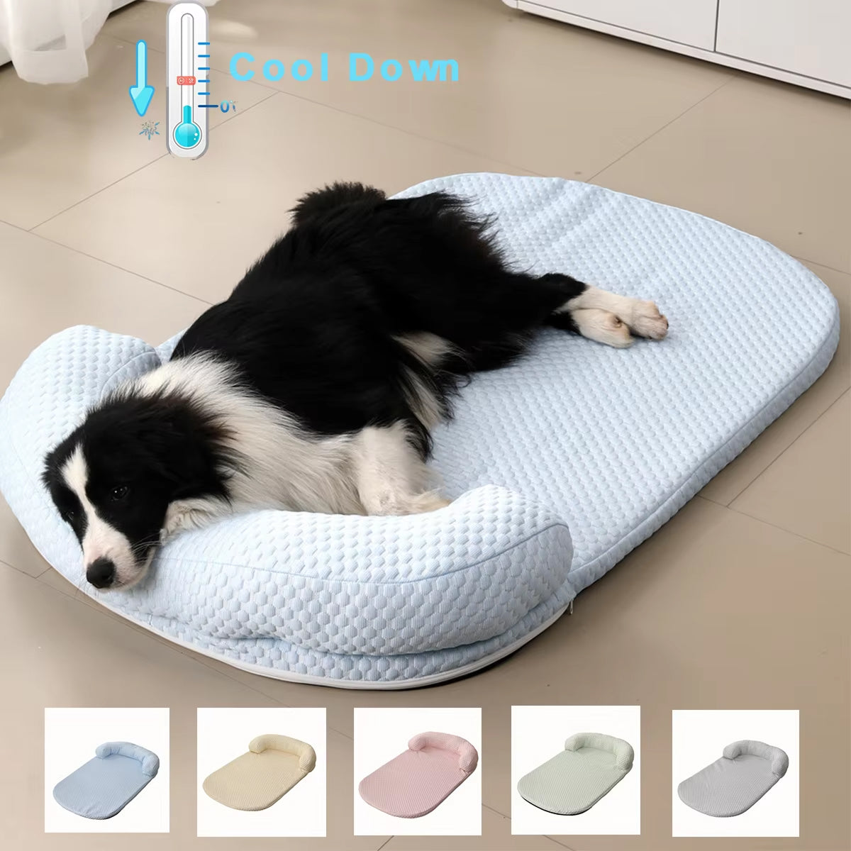 PetFrosy