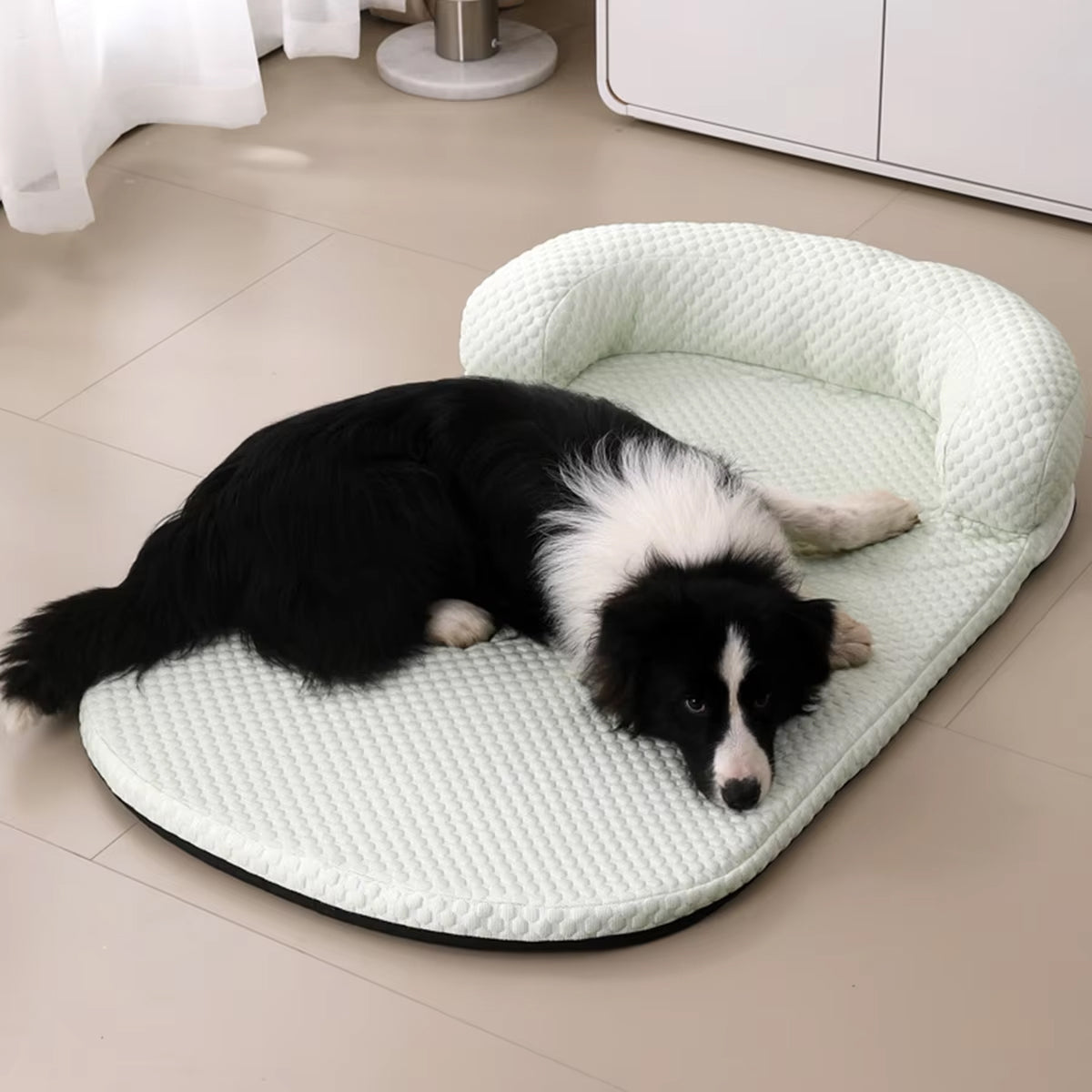 PetFrosy