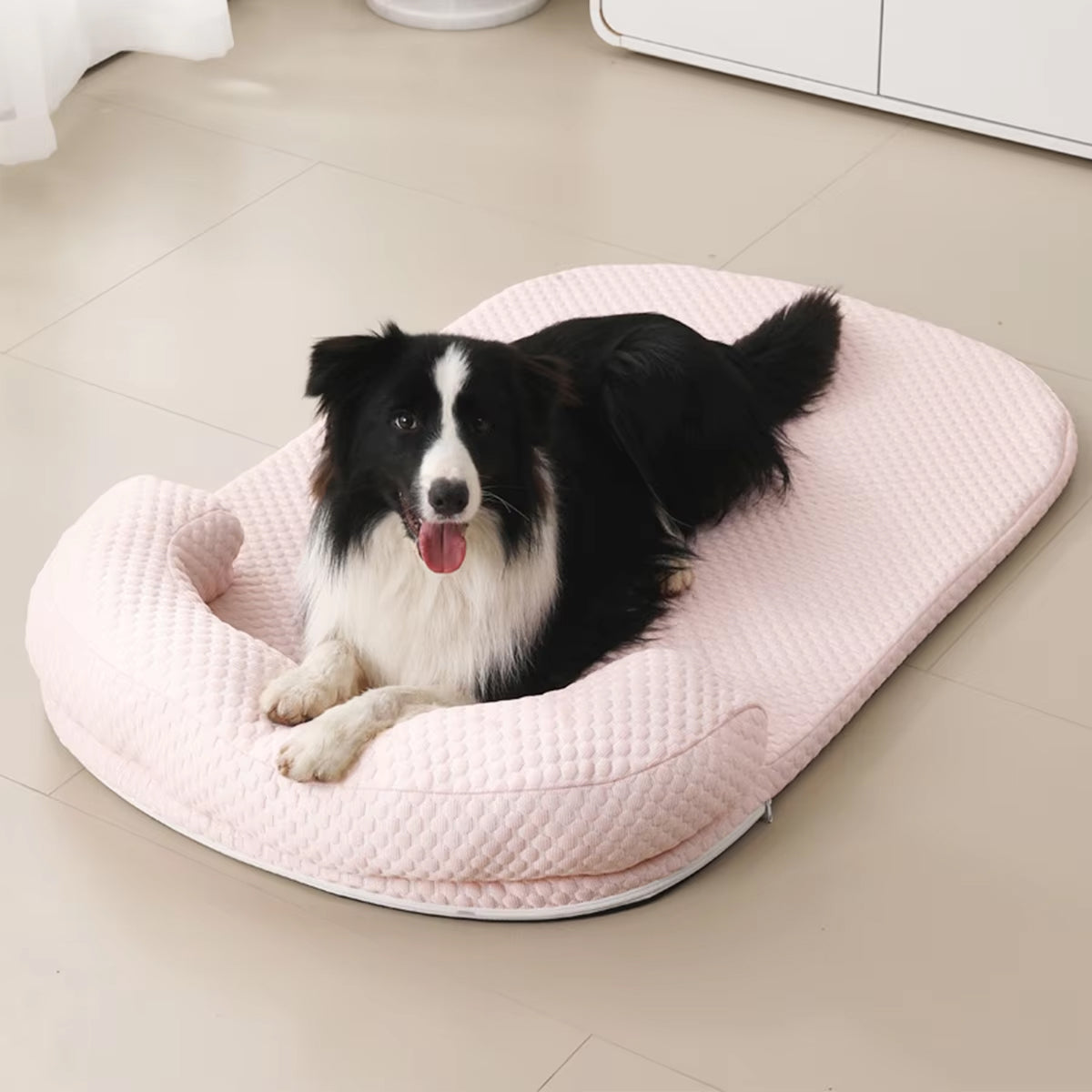 PetFrosy
