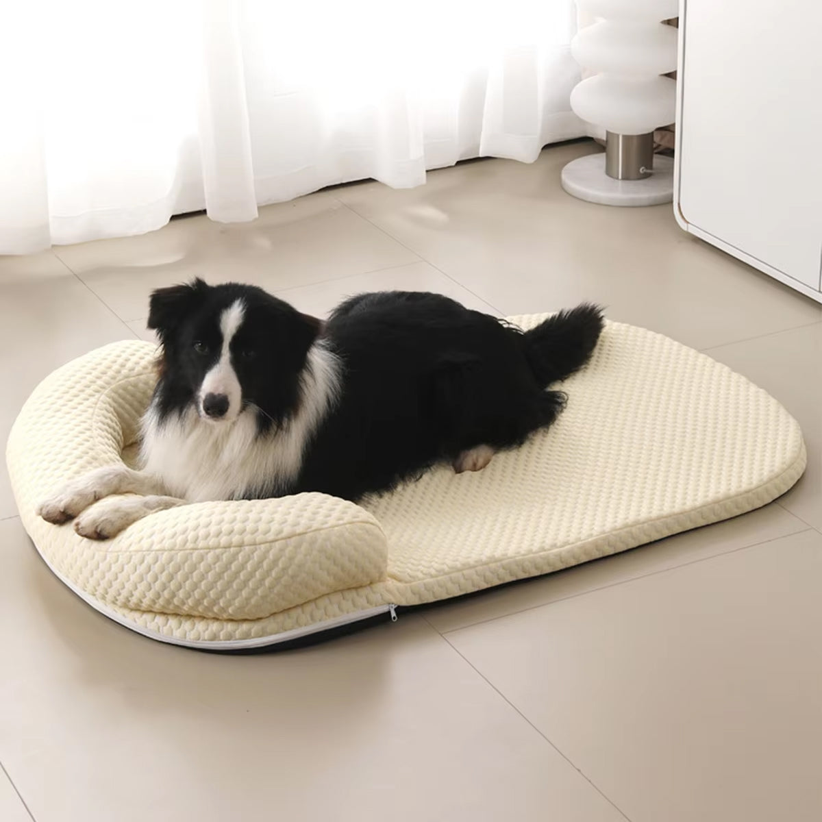 PetFrosy