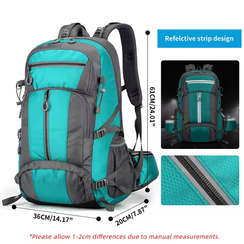PionNomad