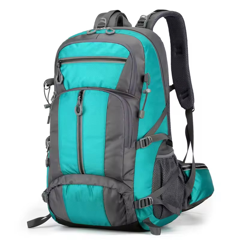 PionNomad
