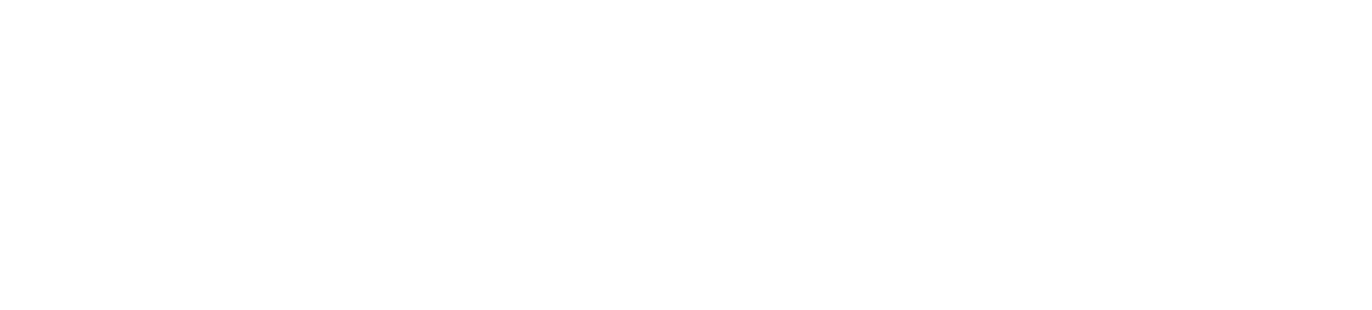 RyoFlami