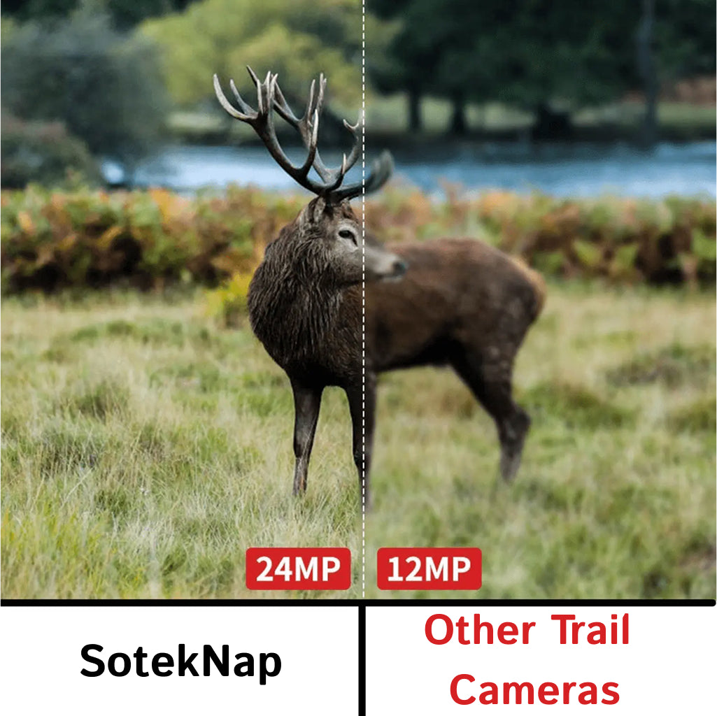 TrailSnapi