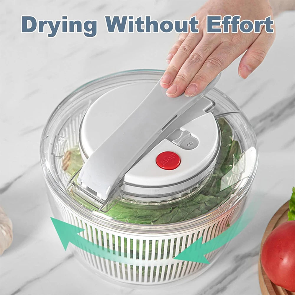 SpiSalix