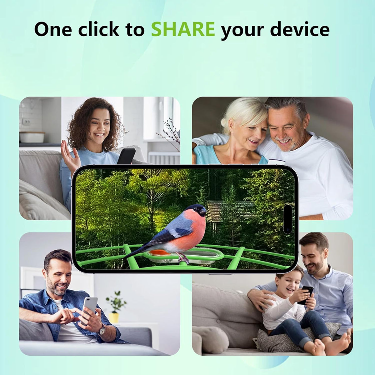 Feedenap