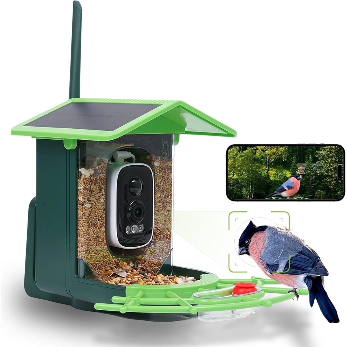 Feedenap