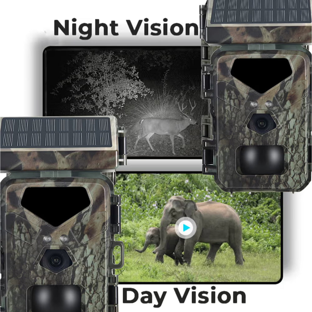 zios-sun-img-13.jpg__PID:3986afaf-fcff-4e98-9adf-b0a3f0175eaa